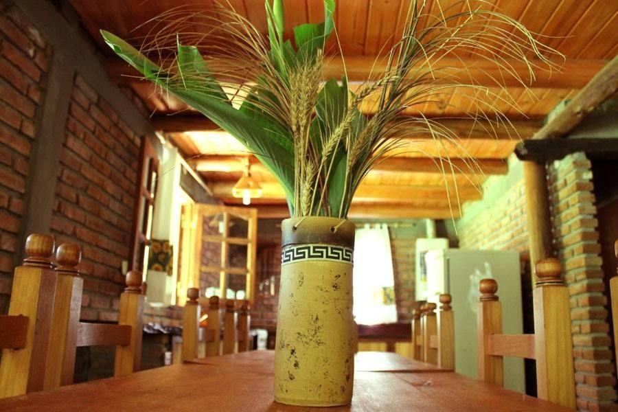拉布拉斯El Algodonal Cabanas公寓式酒店 外观 照片